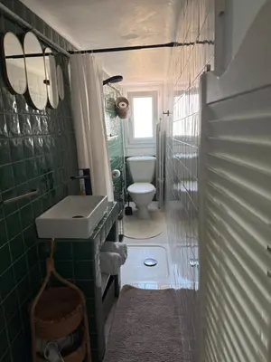 a green bathroom with a sink and a toilet at Mansarde à 1 min de la mer in Nice