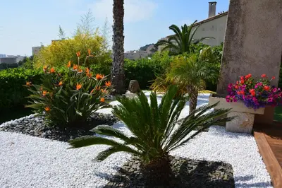 a garden with palm trees and flowers in a yard at Villa ZEN in Saint-Laurent-du-Var