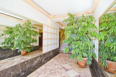 a lobby with two large plants in pots at PROMENADE HOLIDAY - SUFFREN BEACH in Nice