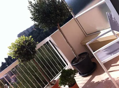 a palm tree in a pot next to a building at La Madonette in Nice