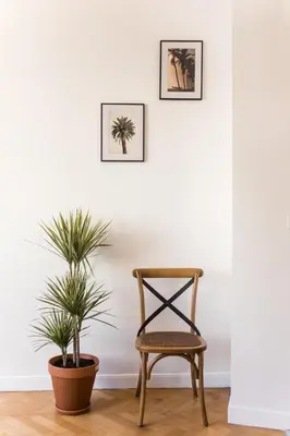 a chair and two plants in a room at Beautiful apartment in the heart of Nice in Nice