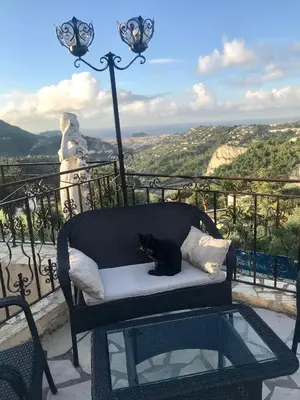 a black cat sitting on a bench on a balcony at Chambres chez l'habitant Villa l'Île aux Anges in Saint-Andre-de-la-Roche