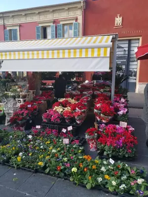 a flower market with a bunch of flowers at Appartement Vieux-Nice N in Nice