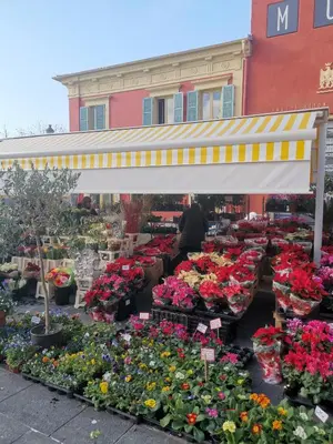 a flower market with a bunch of flowers at Appartement Vieux Nice S in Nice