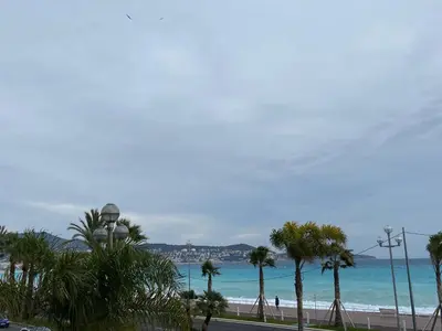 a view of a beach with palm trees and the ocean at PALAIS ELISABETH PROMENADE DES ANGLAIS in Nice