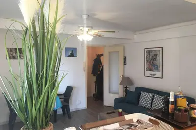 a living room with a blue couch and a plant at Charmant appartement bord de mer, Plage in Cagnes-sur-Mer