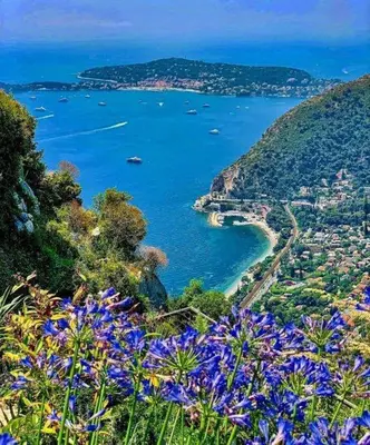 a view of a bay from a hill with flowers at Terrasse Vue Mer Plage à 50 m Parking in Nice
