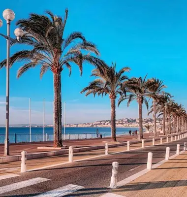 a row of palm trees on a sidewalk near the beach at Terrasse Vue Mer Plage à 50 m Parking in Nice