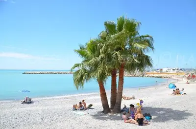 a group of people sitting under a palm tree on a beach at Cosy Room in the centre in Saint-Laurent-du-Var