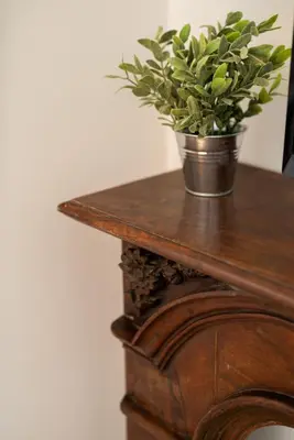 a potted plant sitting on top of a wooden table at 