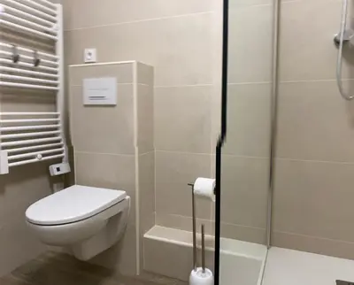 a bathroom with a toilet and a shower at Large beautiful studio near the NEGRESCO HOTEL in Nice