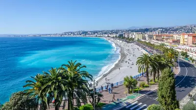 a view of a beach with palm trees and the ocean at Nestor&Jeeves - CORAL SEA TERRACE - Central - Very close beaches in Nice