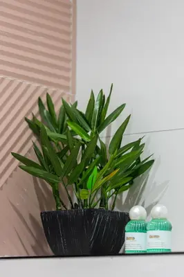 a black vase with a green plant in it at Studio Duplex - Vieux Nice - 100m de la mer in Nice