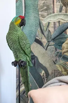 a green parrot sitting on a pole next to a plant at Lovely Apartment City Center Heart - AC in Nice