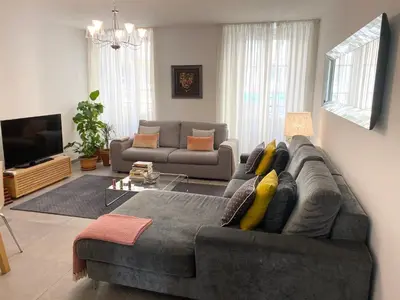 a living room with a gray couch and a tv at Cozy 2BR Appartment near the Port of Nice in Nice