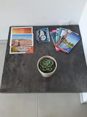 a table with magazines and a plant in a bowl at COTE VILLAGE in Nice