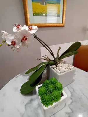 a table with two white flowers and a plant at Villa Angelus in Nice