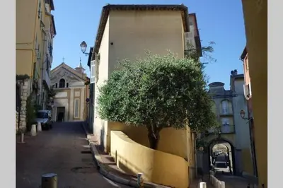 a building with a tree on the side of a street at CHARMANT HOME - Mariesol in Nice