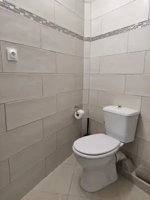a bathroom with a white toilet in a room at L'Ambre d'Or in Falicon