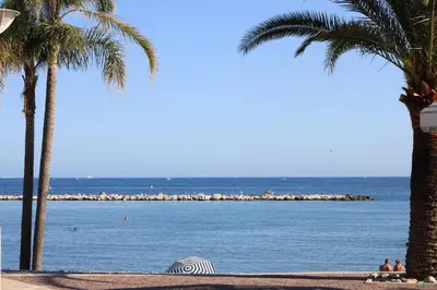 a beach with palm trees and a body of water at Azur 3000 in Saint-Laurent-du-Var