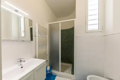 a white bathroom with a shower and a sink at Wonderful Apartment on Sea in Nice