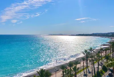 an aerial view of a beach with palm trees and the ocean at Sea view - Promenade des Anglais in Nice