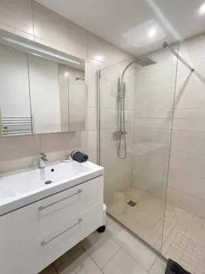 a bathroom with a white sink and a shower at Petit 2 pièces Carré d'Or in Nice