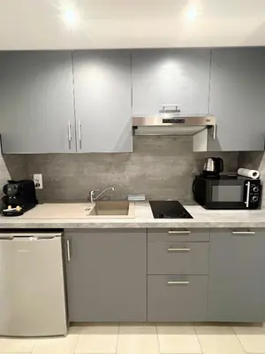 a kitchen with a sink and a microwave at Petit 2 pièces Carré d'Or in Nice