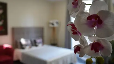 a hospital room with a bed with white and red flowers at Cozy studio with a sea view in Nice