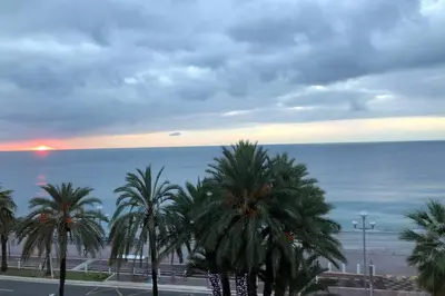 a view of a beach with palm trees and the ocean at Promenade des anglais Amazing sea view 140M2 3BR in Nice