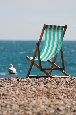 a seagull standing next to a chair on a beach at ApartHotel Riviera - Hyper Centre Musiciens - Superior 1 Bedroom Apartement AC - Balcony - 10 mn Promenade des Anglais - BALCON PALAIS EXCELSIOR 1 in Nice