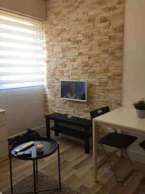 a living room with a television on a brick wall at Studio à 2 pas de la promenade des anglais in Nice