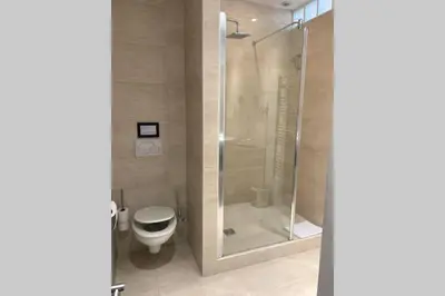 a bathroom with a shower and a toilet at 18 Garibaldi in Nice