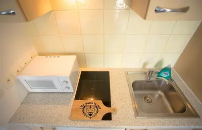 a kitchen counter with a sink and a microwave at l'Or dans la Mer in Nice