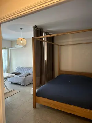 a bedroom with a bed and a living room at Grand Studio avec Coin Nuit et Parking in Saint-Laurent-du-Var