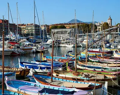 a bunch of boats are docked in a harbor at Studio neuf 25 m2, terrasse 35 m2 proche port Nice, Centre ville in Nice