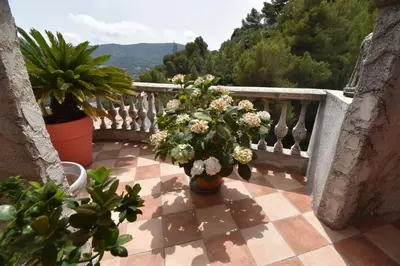 a balcony with potted plants and a view of the mountains at Studio climatisé et sa terrasse privée en villa in La Trinité