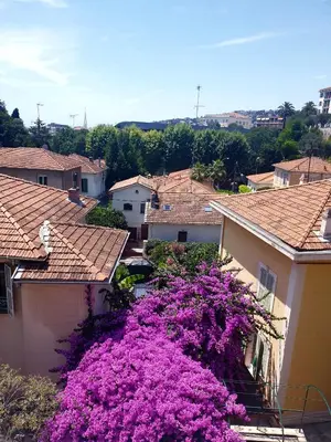 a bunch of purple flowers on the side of a building at Spacieux/paisible 5 pièces en plein coeur de Nice in Nice