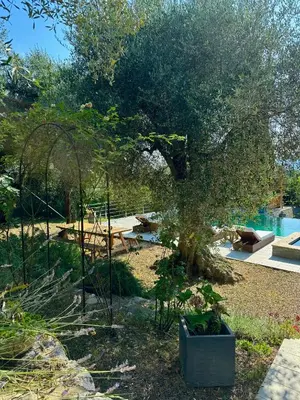 a garden with a tree and a swimming pool at Escondida in Nice