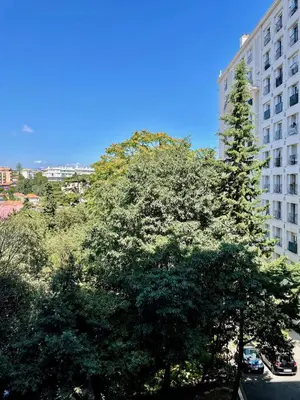 a large tree in front of a tall building at Air-conditioned apartment with garage near the sea in Nice