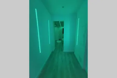 an empty hallway with green walls and wooden floors at Nid d'amour baignoire/jacuzzi in Nice
