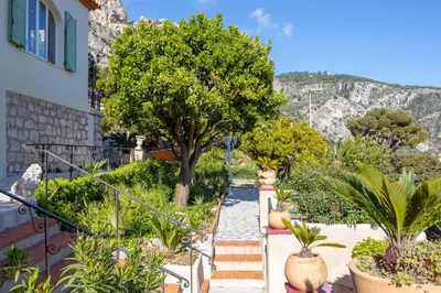 a garden with plants and a tree and stairs at Villa Panorama in Èze