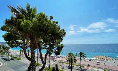 a view of a beach with a palm tree and the ocean at Holiday Vigie Promenade in Nice