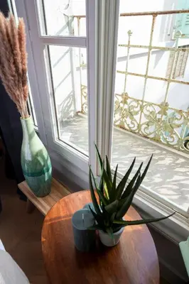 a table with a plant on it next to a window at Superbe studio Plage/Promenade des Anglais 105 in Nice