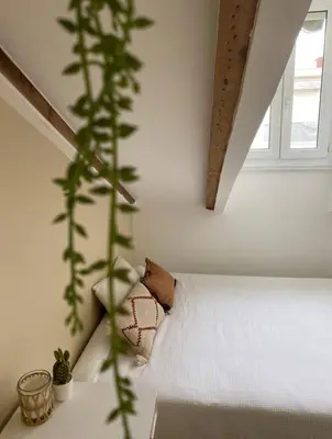 a bedroom with a white bed and a plant at Lovely 1 Bedroom Apartment - Heart of Nice in Nice