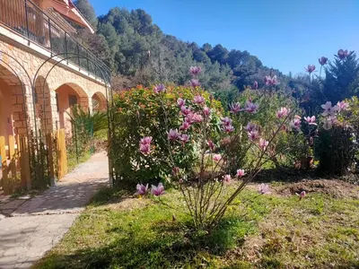 a garden with pink flowers next to a building at Un brin de paille in Cagnes-sur-Mer