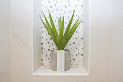 a plant in a vase on a shelf in a bathroom at Luxury Garden Jacuzzi Promenade in Nice