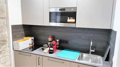 a kitchen counter with a sink and a microwave at hypercentre lamartine 001 in Nice
