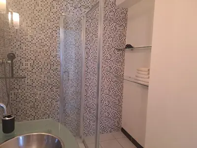 a bathroom with a shower and a sink at Loft 2 in La Trinité