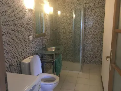 a bathroom with a toilet and a sink and a shower at Loft 2 in La Trinité